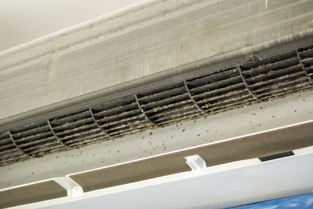 Best Home Air Vent Cleaning  in Bangor, WI